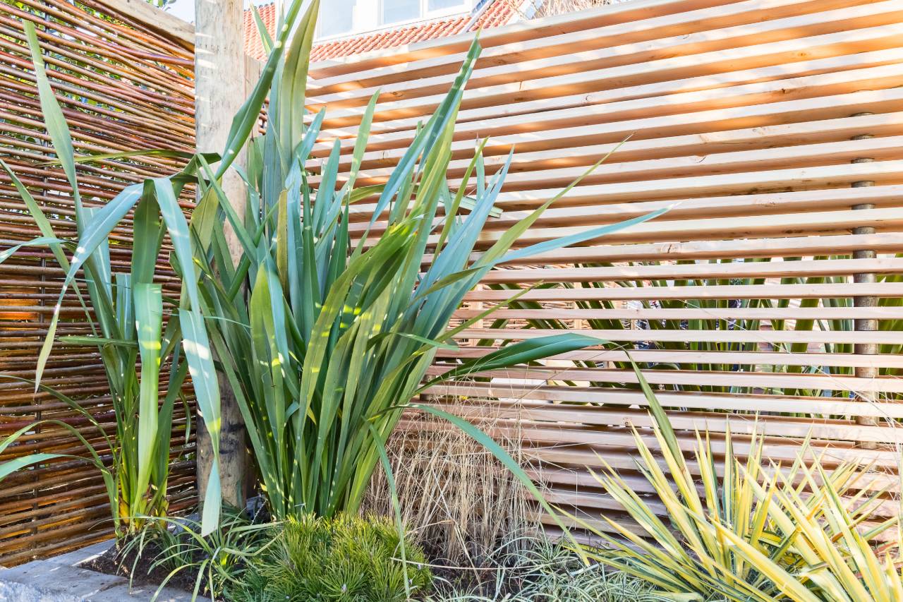 mediterrane tuin