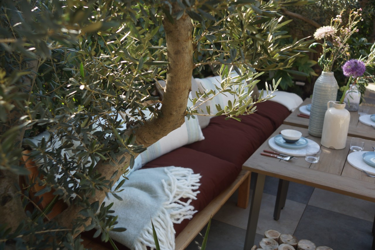 mediterrane tuin