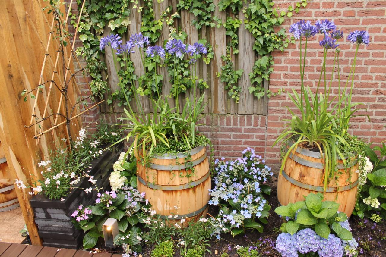 tuin bloemen